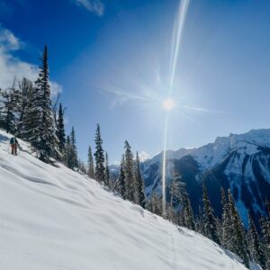 backcountry sunshine